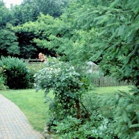 하프크루그 Haus Gori 아파트 외부 사진